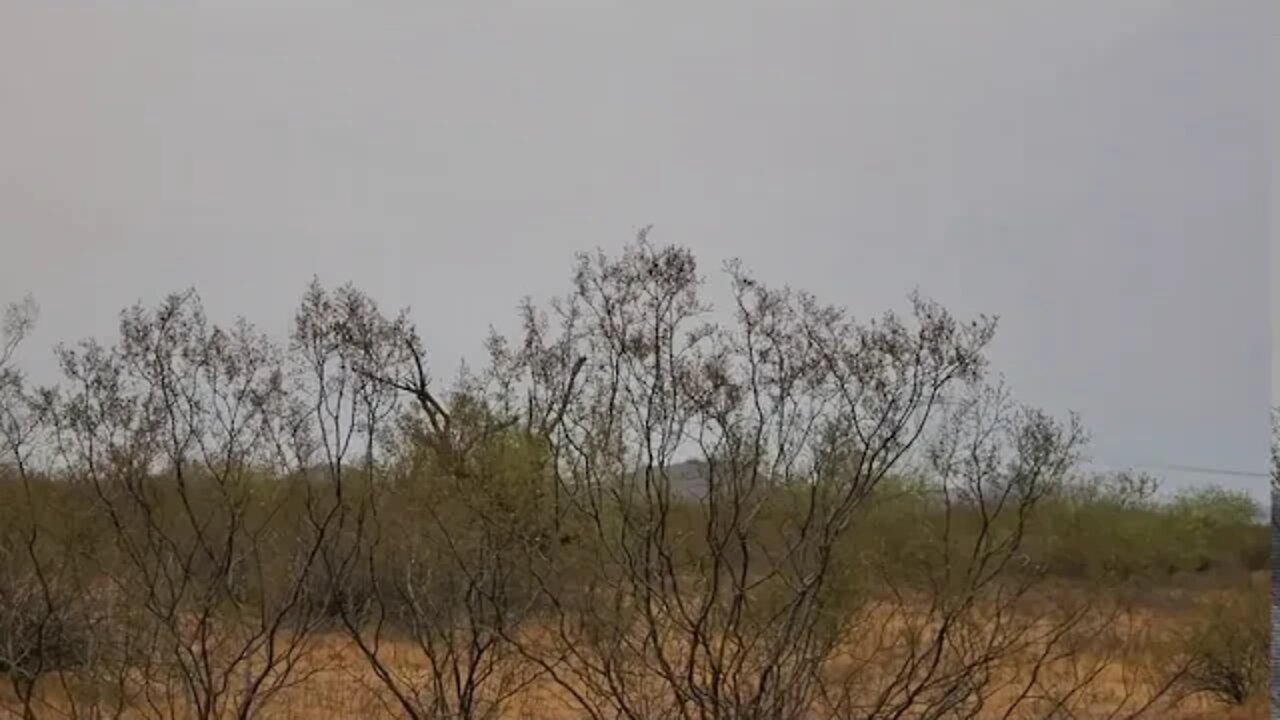 DESIERTO DE SONORA