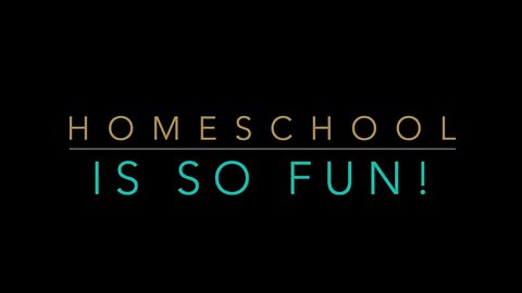 Home Made Stair Slide - Homeschoolers Have Fun - (Entertaining Toddlers) by The Homeschool Dad 2021
