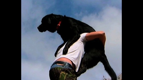 Doggy On The Roof