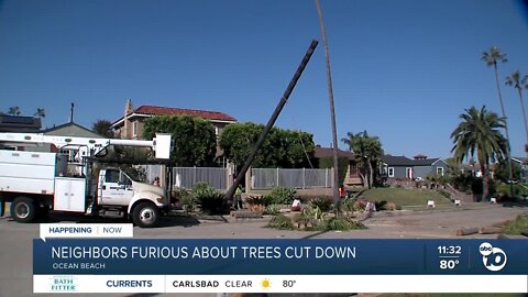 OB residents angry over city's decision to cut down trees