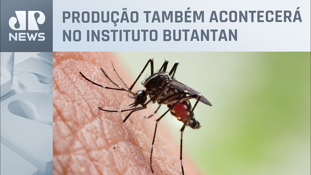 Primeira vacina contra chikungunya é aprovada nos EUA