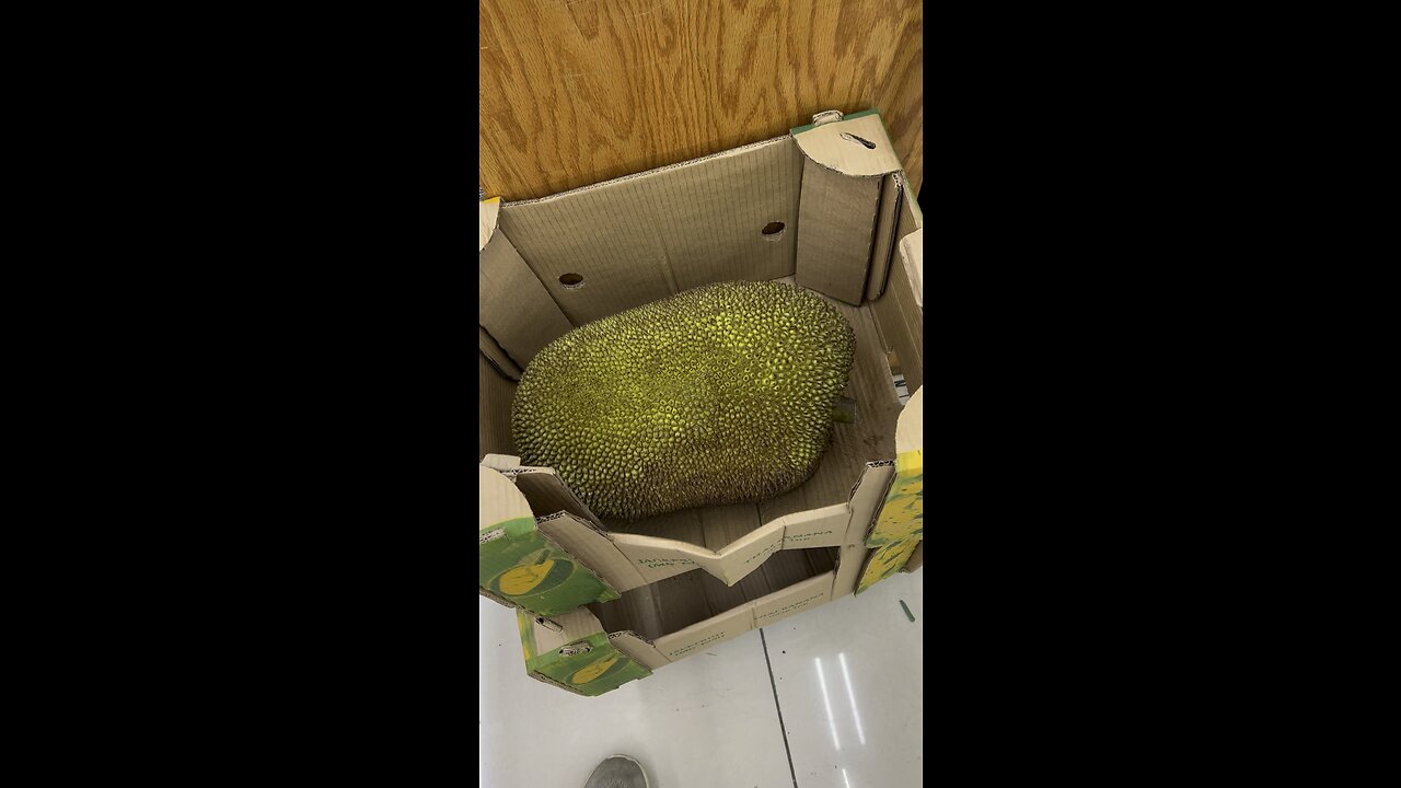 Jackfruit