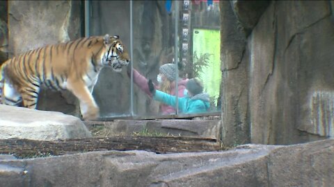 'Frosty Free Week': Milwaukee County Zoo offers free admission during last week of year