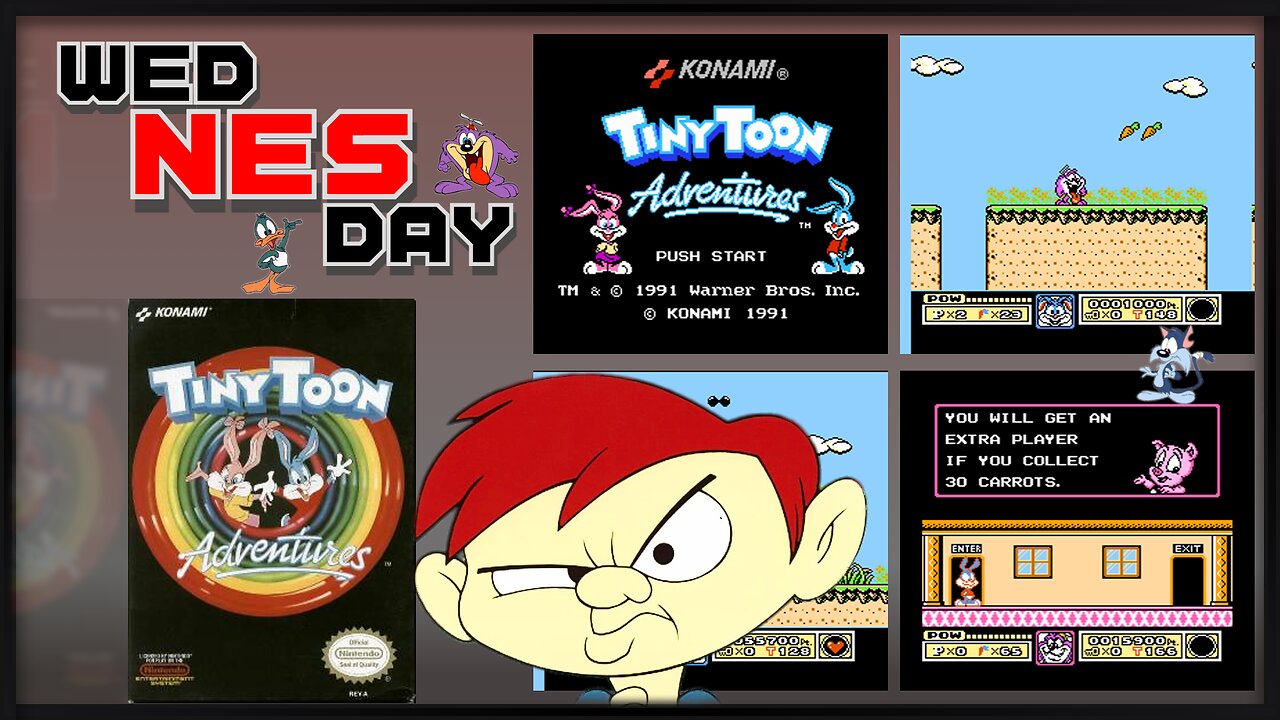 wedNESday - Tiny Toon Adventures (Playthrough)