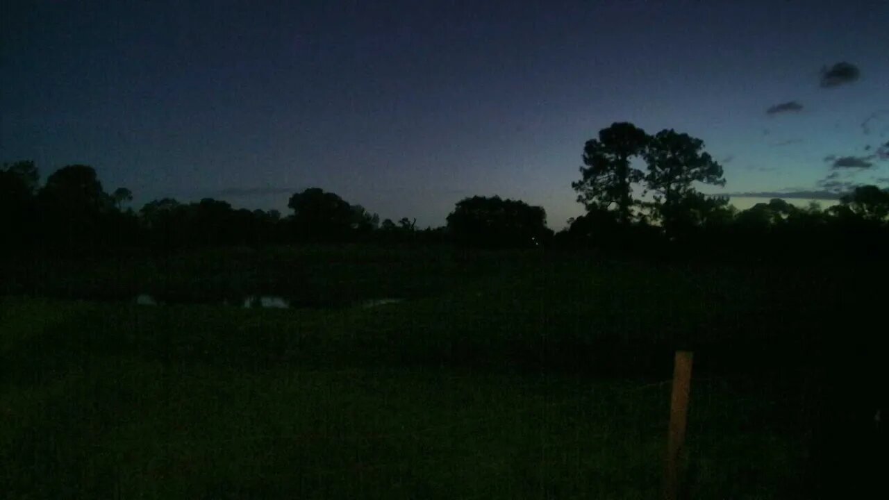 Tuesday morning at Venus Ranch 5/10/22.