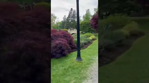 Walking through a large garden