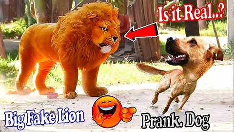 Fake lion dog prank🤣🤣