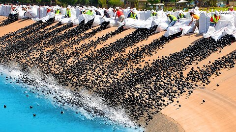 They Dumped 96 Million Balls into a Lake, Months Later They Scrambled To Get Them Out!