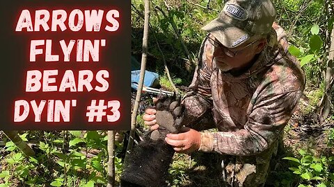 Bear hunting | Arrows Flyin' Bears Dyin' Part #3