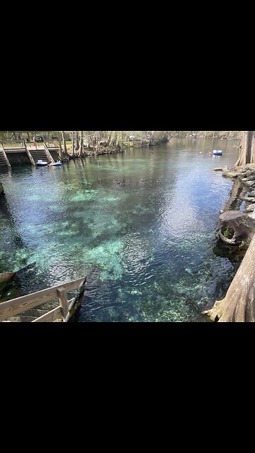 Ginnie Springs , FLORIDA