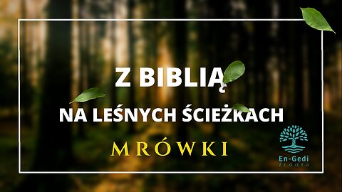 Z Biblią na leśnych ścieżkach - MRÓWKI