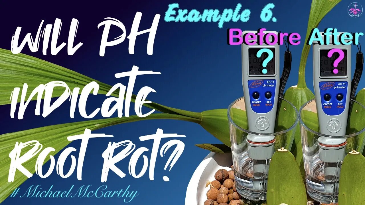 Can pH determine root rot? | Soak pot / measure pH / what does the pH tell us about root health?