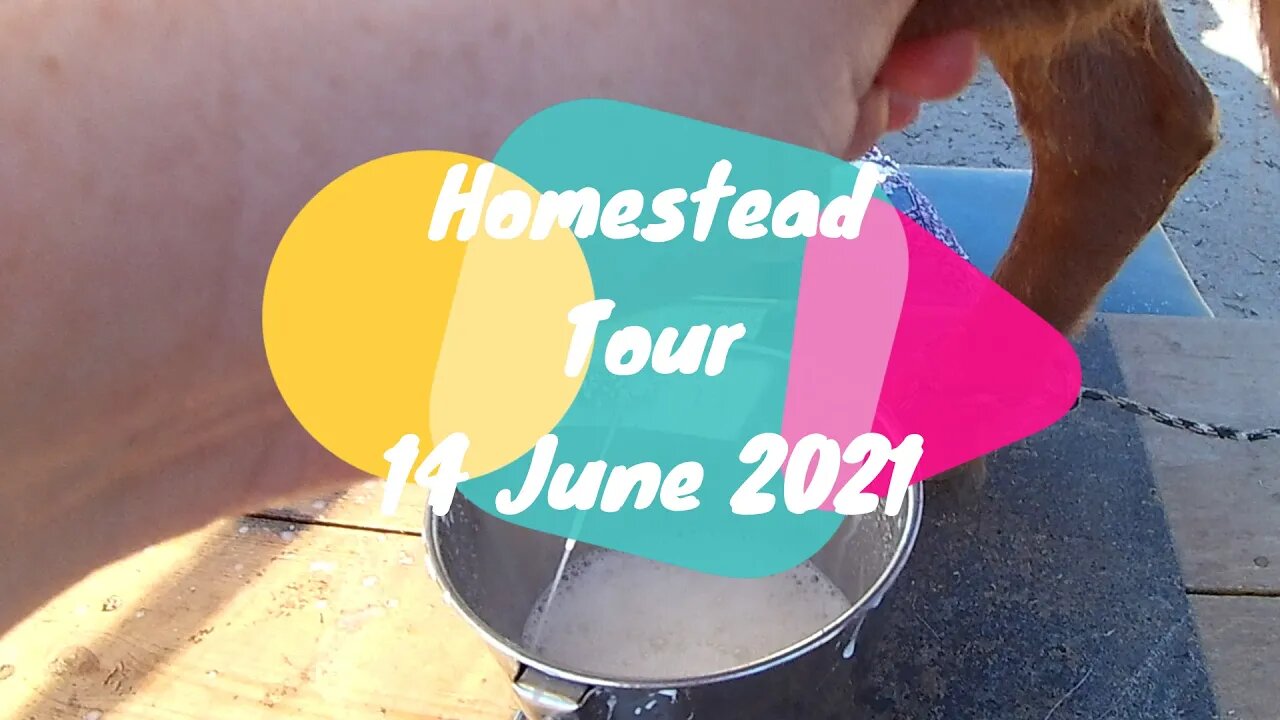 Homestead Tour 14 June 2021