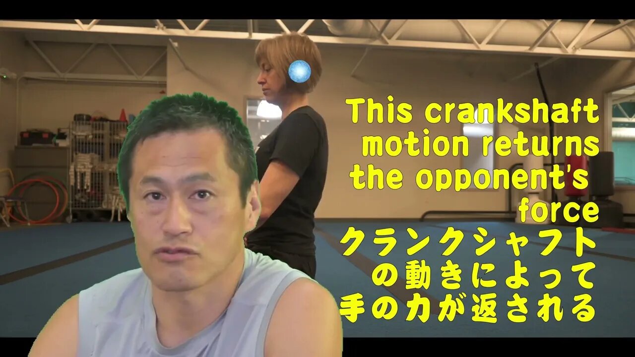 丹伝道 手指伸筋腱 [日本語版]