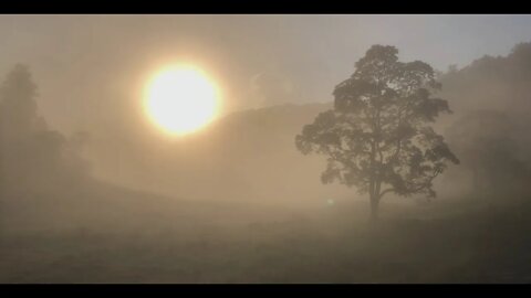 Good morning from paradise. Another misty Monet painting. The moon is still out and opposite the sun