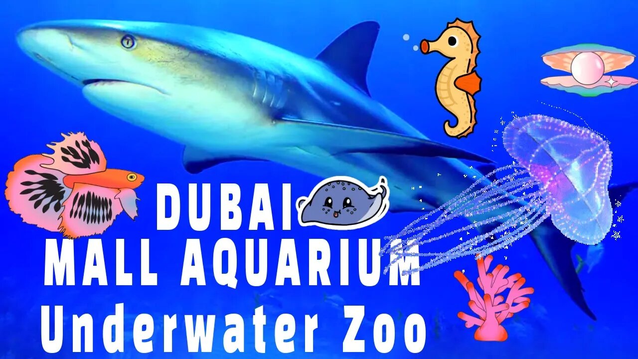 Dubai Mall Aquarium | World Biggest Aquarium | Penguin Encounter | துபாய் மால் அக்வாரியம் ஜூ