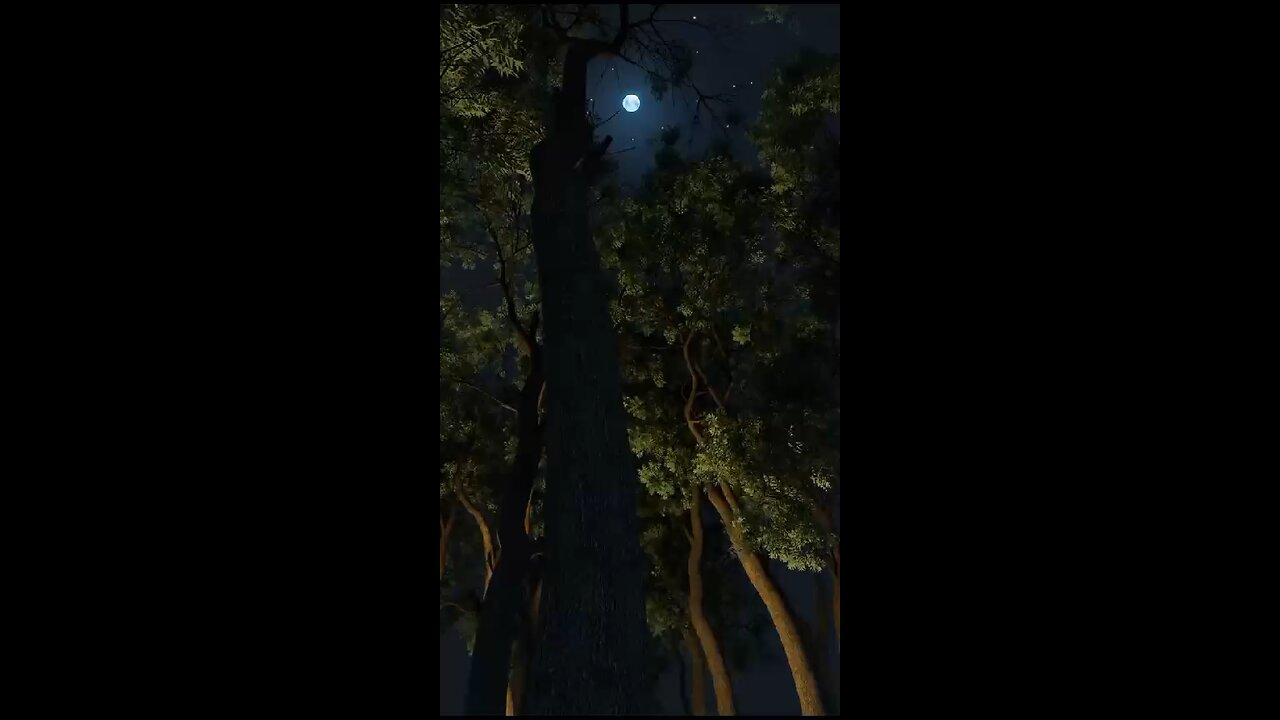 Full moon view
