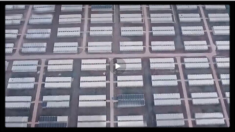 REESE REPORT - FEMA Camps for American Dissidents