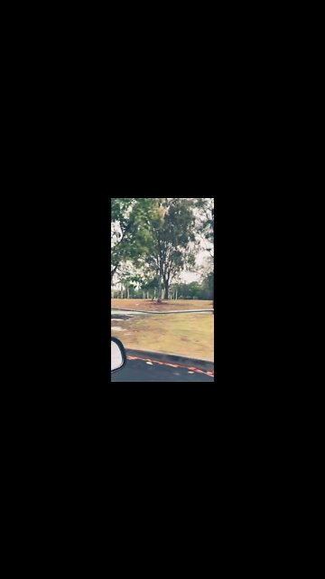 Gold Coast Benowa #Shorts