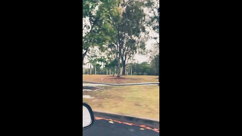 Gold Coast Benowa #Shorts