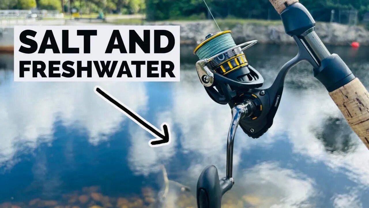 Daiwa BG Spinning Reel 2500 Review (Fresh and Salt water)