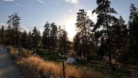 A Simple Evening On The Homestead.