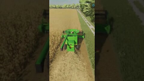 Harvesting The New Field Bloomfield FS22 #shorts