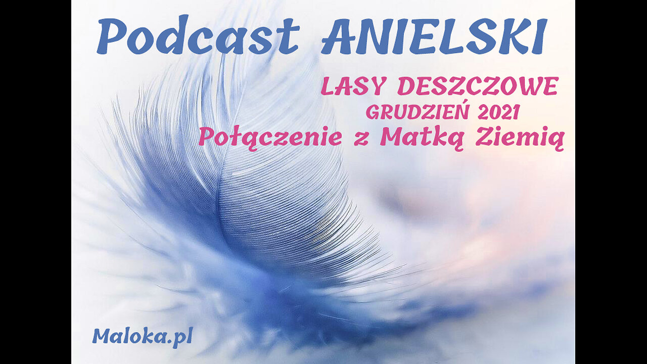 Podcast Anielski: LASY DESZCZOWE, GRUDZIEŃ 2021 - Połączenie z Matką Ziemią