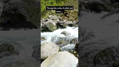 The Relaxing Sound Of A Babbling Brook #shorts #naturesounds