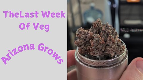 Last Week Of Veg