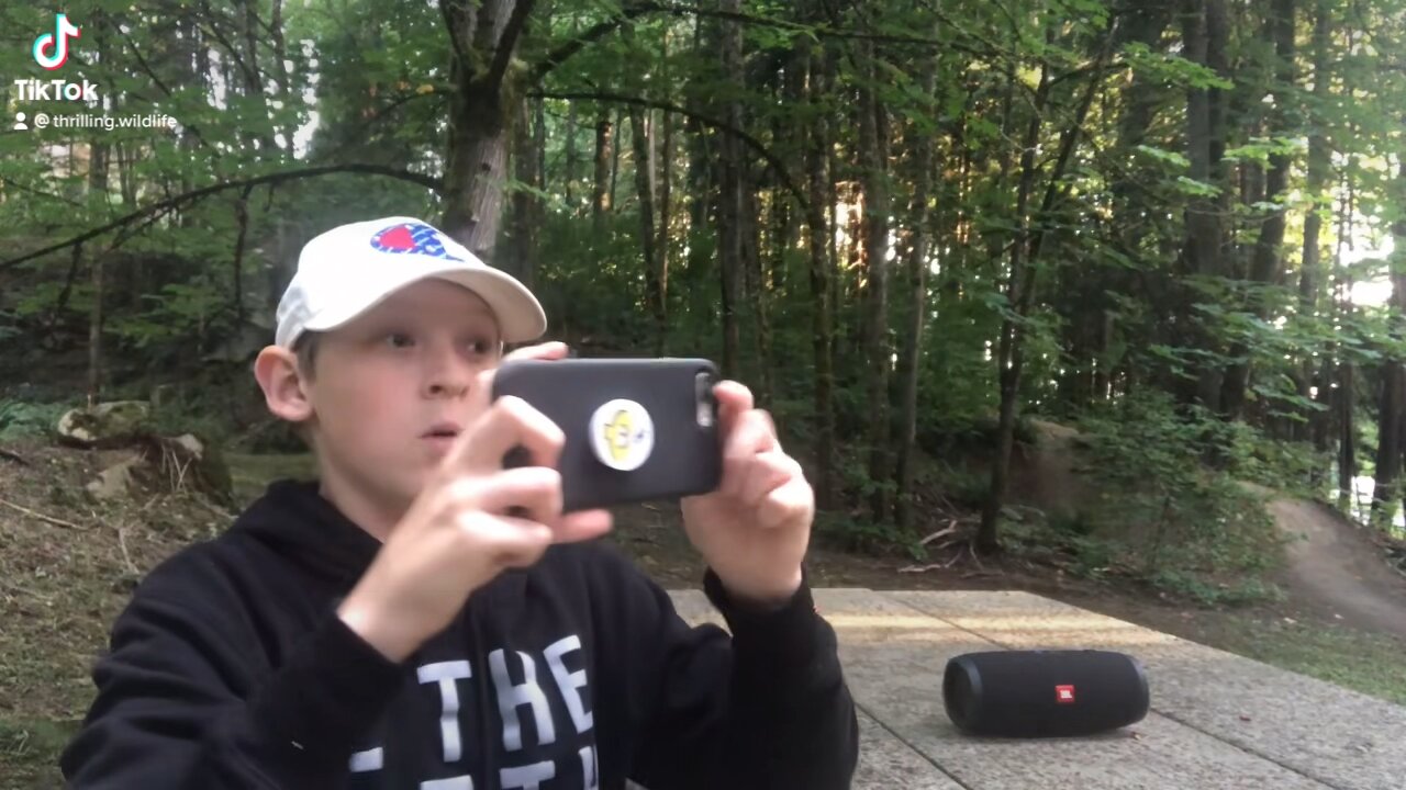 Checkout This Awesome Experience With a Barred Owl! 🦉
