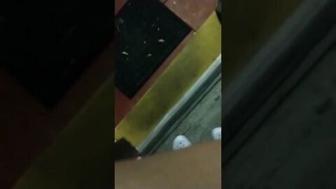 What's going on now?