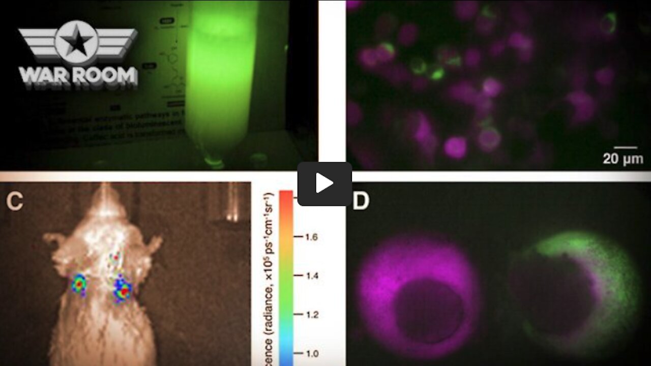 What On Earth Is Luciferase? | Clay Clark Hosts WarRoom on InfoWars