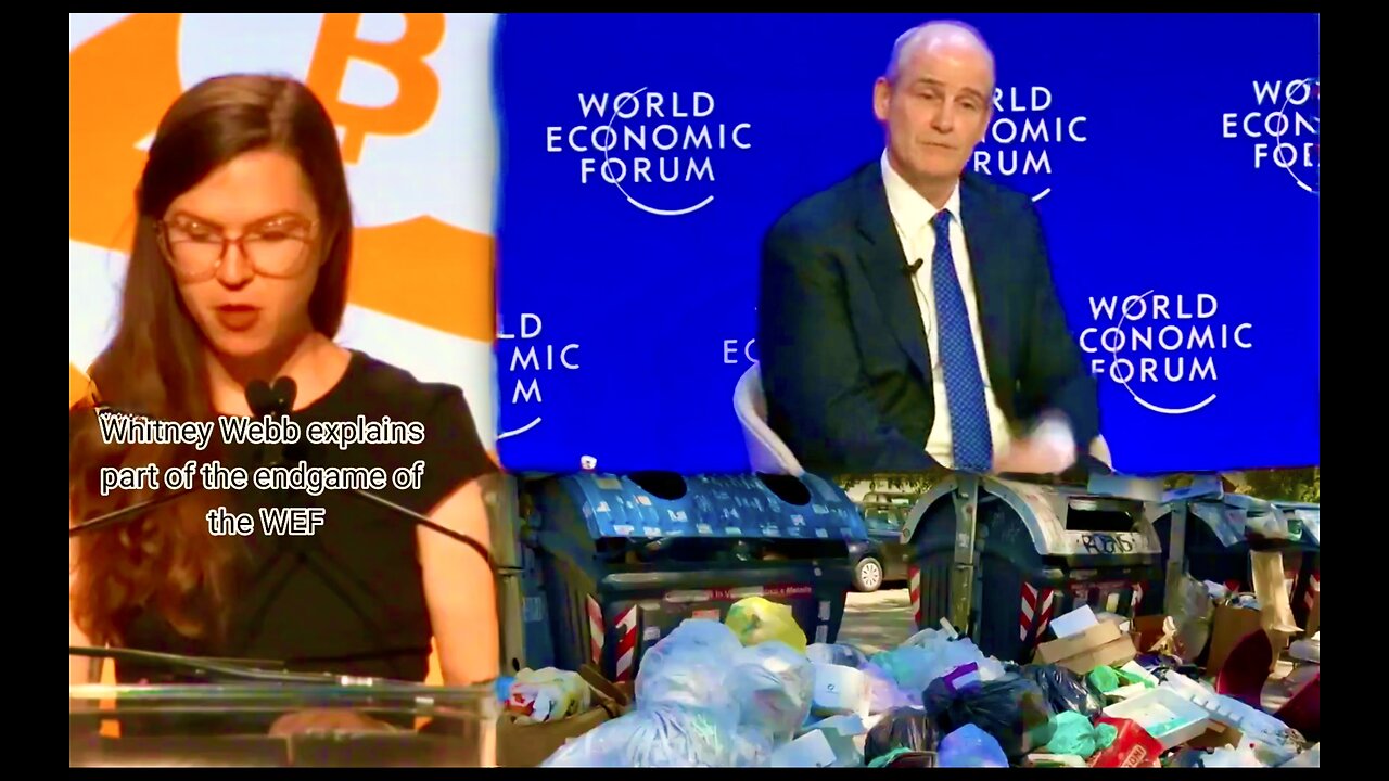 Whitney Webb Explains World Economic Forum Endgame Financial Crash Fear Control Slavery Filthy Italy