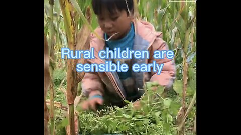 Poor areas kids lives/Rural children are sensible early