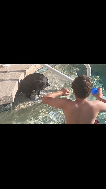 Just when you thought pool days couldn't get any better...