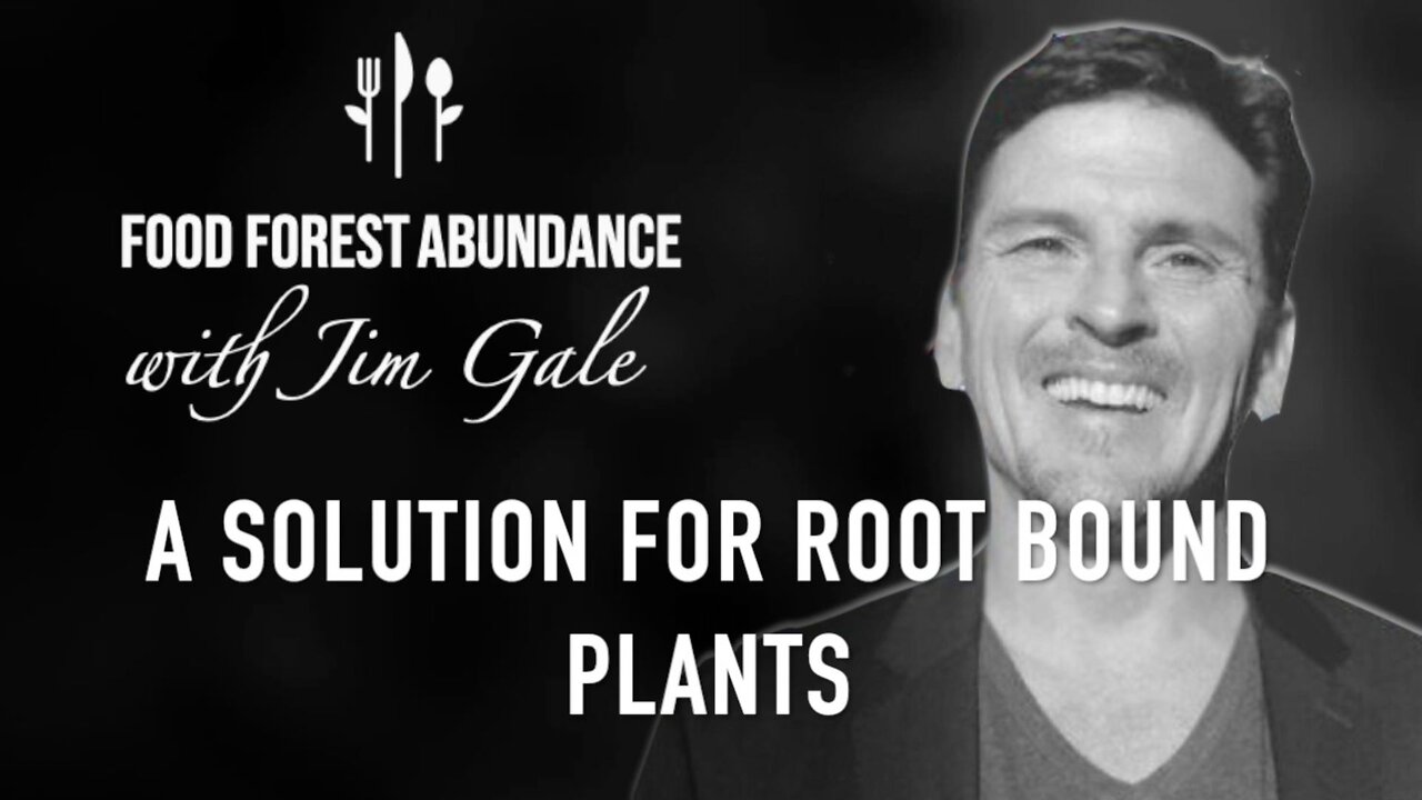 A Solution For Root Bound Plants