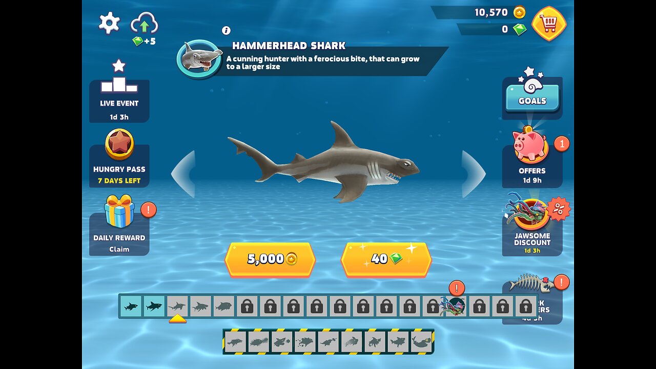 Hungry Shark - Hammerhead