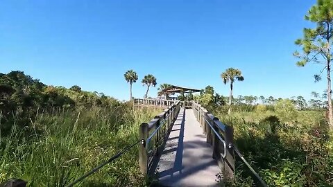 Headquarters Pond Walking Trail and Observation Deck
