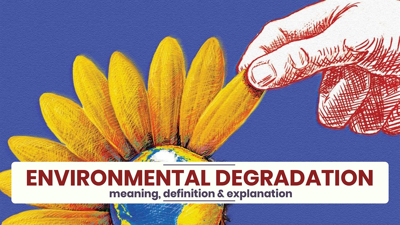 What is ENVIRONMENTAL DEGRADATION?