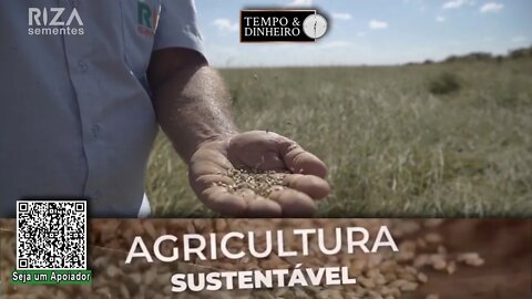 Investimento em semente de qualidade resulta em cobertura para o solo e produtividade na lavoura. RZ