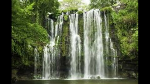 Presente e Futuro bravo guerreiro play back