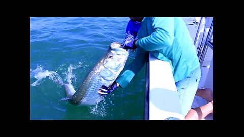 Let's Talk Tarpon Fishing!!