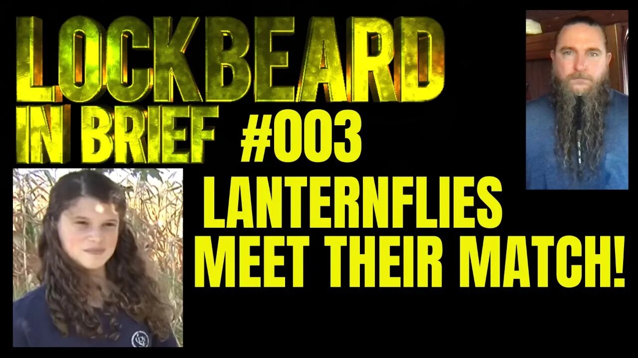 LOCKBEARD IN BRIEF #003. Lanternflies Meet Their Match