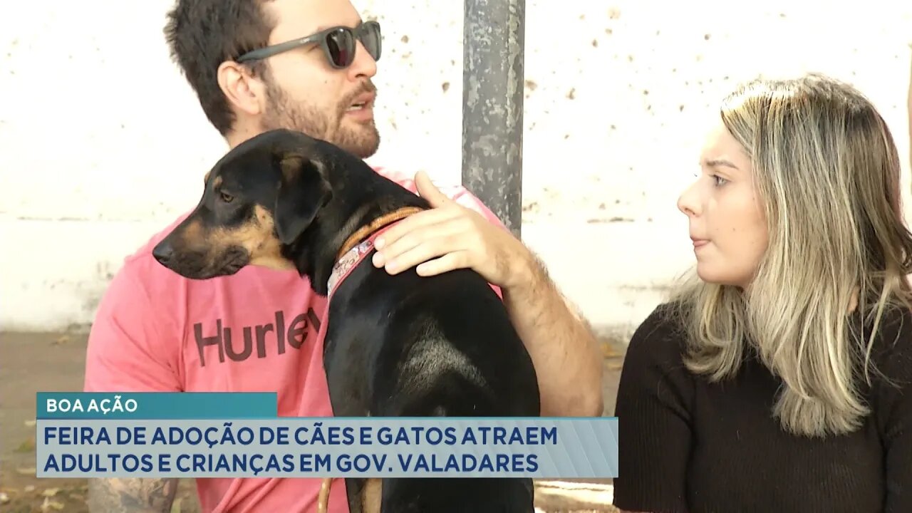 Adoção: Feira de Adoção de Cães e Gatos atraem adultos e crianças em GV.