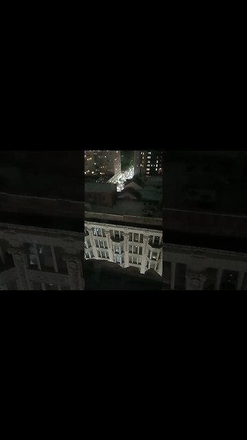 # free Palestine protest