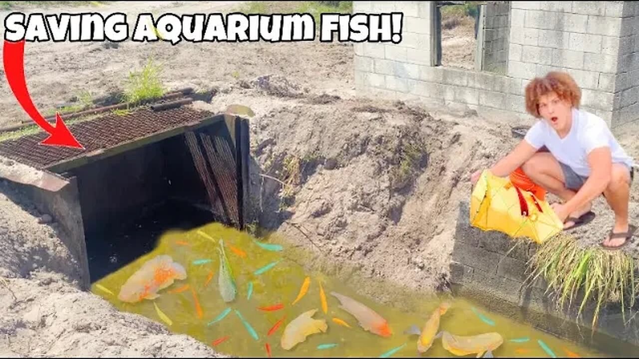 Saving AQUARIUM Fish From DEMOLISHED Abandoned SPILLWAY!