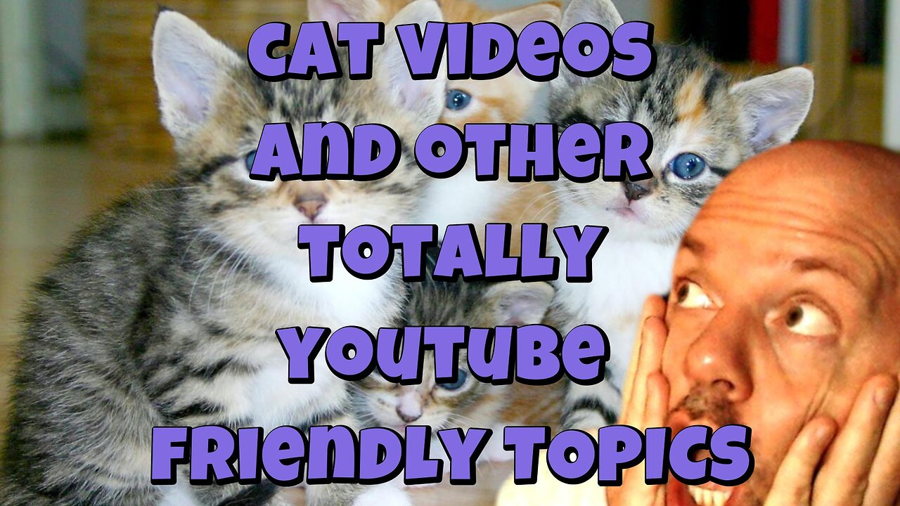 Cat Videos and other totally youtube friendly topics