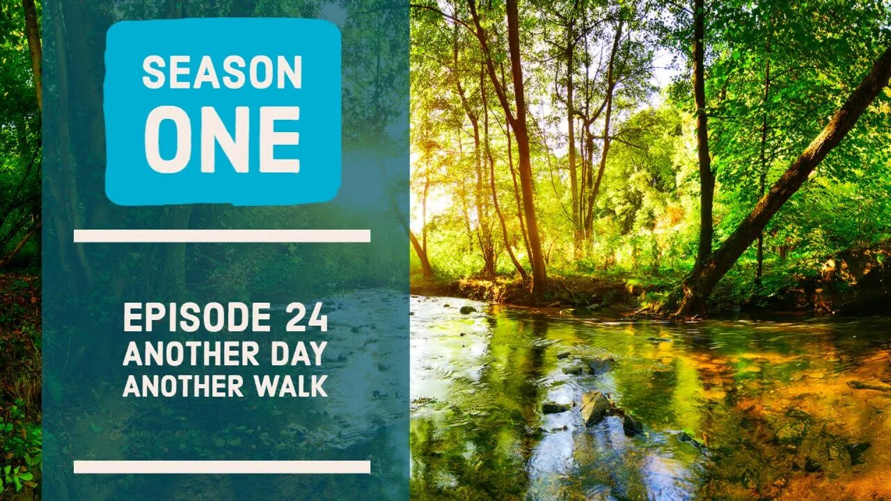 Another Day, Another Walk | Season 1 - Ep24 | NATURE WALK [ 4K HDR ] | Nature Relaxed Walking |