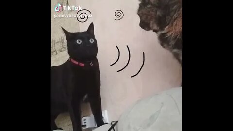 Try to conect 😂😂😂